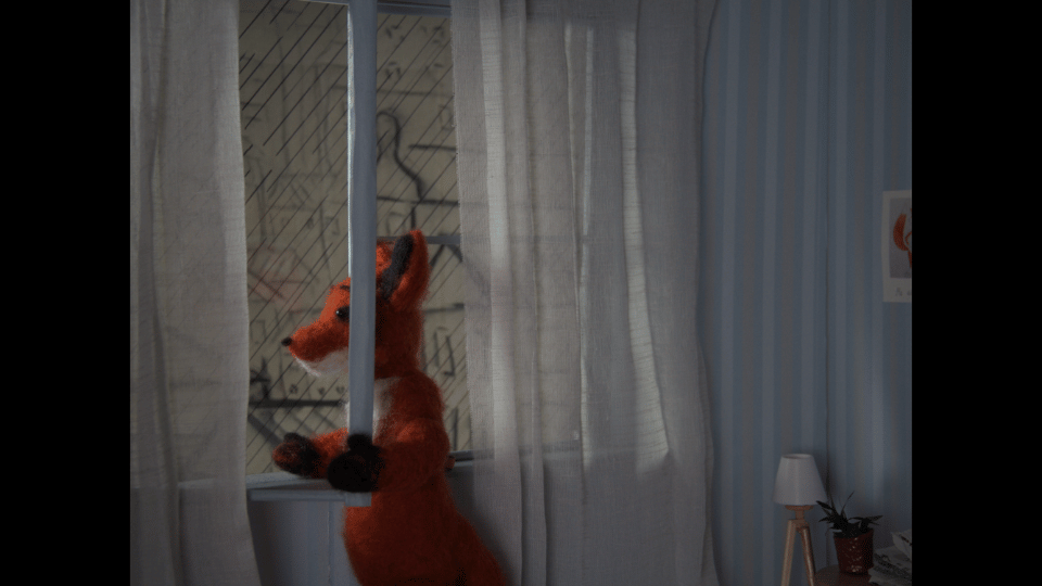 Watch: A Fox and A Sun Short Film (Available on Cineshort App)