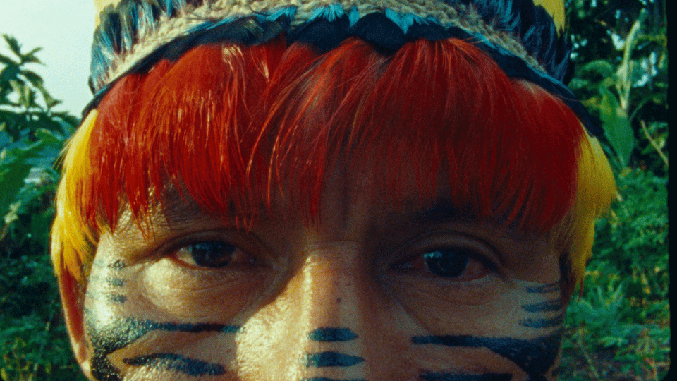 Discover the Magic of Short Films at Cineshort